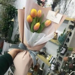 망고튤립한다발~~🌷 #망고 #망고튤립 #튤립 . . 휴가기간동안 매장문은 열려있어요🌿 . . 🌟다온아뜰리에 휴가 공지🌟 11월 29일(수) ~ 12월 1일... 