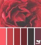 Flora design에 관한 상위 25개 이상의 Pinterest 아이디어 | 상아 및 게임 컨셉 아트