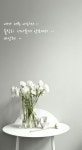 [좋은글사진]이쁜사진/사랑글귀/인생글귀/이별글귀/안드로이드/스마트폰/이쁜배경화면/카톡/프로필사진/이미지/페이스북커버/디저트/사진... 