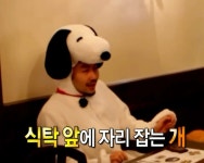 식탁 앞에 자리 잡는 개