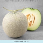 12380원 ─ 곡성 머스크멜론, 2kg, 1개 ─