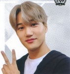 EXO 카이 KAI | KIM JONGIN
