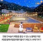 편안한 휴식이 있는 무주에 작은 프랑스 알로프랑스 펜션 | 여행, 커플, 가족 여행