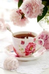 ··Tea··에 관한 17개의 최상의 Pinterest 이미지 | 찻잔, 티타임 및 커피 타임 ··Tea··