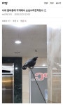 PC방에서 손님 쓰러진 이야기 - 유머다 | 웃긴 밈, 유머, 웃긴 유머