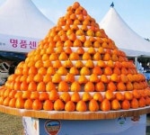 증명하고 증명할께요 믿고 따라와요 감사하고 사랑합니다 우리 꾸준히 오래봐요 헤헤 이상 슈가의 감성 트윗이였음돠 좀따 우리 볼려면... 