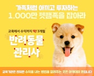 반려동물관리사가 알아야할 필수교양, 자격증취득방법, 무료상담&샘플강의를 신청하고 받아볼 수 있는 곳 | 모든 것