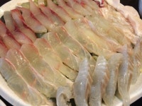 배들어온집 모듬회~