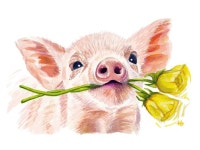 Dandy the Piglet | Print | 동물, 꽃 그리는 법, 색연필