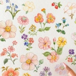 색연필 1 (colored pencil)에 있는 BongAe Song님의 핀 - 2021 | 색연필