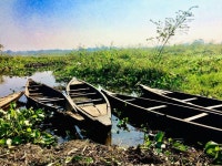 Pin by 김은미 on 풍경 in 2023 | Boat painting, Landscape paintings, Landscape