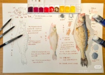 Ghim của Jieun Jeon trên 수채화예시 trong 2025