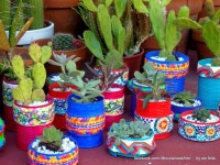 jardinería에 관한 338개의 최상의 Pinterest 이미지 | 벽돌, 콘크리트 블록 및 Diy 아이디어 jardinería