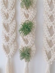 [MACRAME DIY](sub) AIR PLANT WALL HANGING : 이오난사 월행잉 만들기