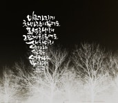 캘리그라피에 있는 김순희님의 핀 - 2024 | 엽서