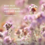 #명언 #명언모음 #인생명언 #긍정명언 #짧은명언 #오늘의명언 #아침명언... 힘들때명언 #성공명언 #힘나는명언 #꽃들에게희망을 #책속문장