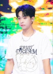 루시 최상엽