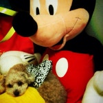 코리아카지노 코리아카지노-----▶ JACK14.CO.NR ◀-----코리아카지노 코리아카지노-----▶ JACK14.CO.NR ◀-----코리아카지노... 