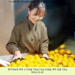 15800원 / 훈이네농장 제주 노지감귤 10kg/15kg 조생귤, 제주 감귤 10kg 대과(L/2L과) / #제주감귤농장매매 #제주도조생감귤 15800원... 