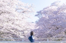 너의이름은 처럼 사진찍는 일본 학생들