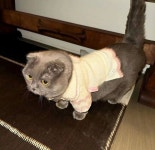 아이조아에 있는 D님의 핀 - 2025