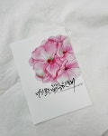 다움캘리 #세종시캘리그라피 #세종캘리님: “#수채캘리 너의 모든 날을 응원해!! #수채엽서 #캘리선물 #너의 #나의 #우리의 #모든날을응원해...