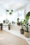 DODAM SCHOOL 도담학교 - SPACE LITA | Plants, Garden