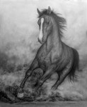 Pin de 김형경 en pencil sketch | Dibujos de caballos, Caballos, Caballos negros