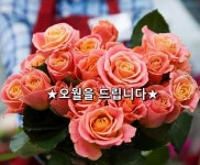 ★오월을 드립니다★ 당신 가슴에 빨간 장미가 만발한 5월을 드립니다. 5월엔 당신에게 좋은 일들이 생길 겁니다. 꼭 집어 말할 수는 없지만 웬지... 
