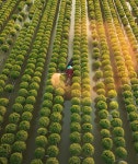 Vietnam Scene에 있는 Hào Đức님의 핀 - 2025
