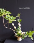 코마샤클래스  화훼장식기능사 실기시험대비반 동양꽃꽂이 경사형  #komarthaclass #komarthalee #flolist #flower #flowe… | 꽃... 