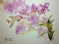 Ti Watercolor | 수채화