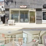 화이트우드톤 깔끔한 15평 애견미용실 인테리어 화이트우드톤 카페같은 분위기의 애견미용실 인테리어 견적 | 상점 인테리어 디자인, 카페... 