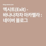 엑시트(Exit) - 바나나차차 아카펠라 : 네이버 블로그 - 2020 | 음악, 블로그, 여행