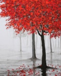 Art에 관한 53개의 최상의 Pinterest 이미지 | 수채화, 아크릴 아트 및 캔버스 Art