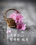 오늘도 행복한 하루 Have a Happy Day