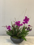 Orchid  arrangements에 있는 Juyeon Kim님의 핀