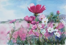 Pin page оманут에 있는 גאולה יורקובצקי님의 핀 | 수채화 그림, 그림, 수채화