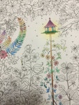 비밀의 정원 안티-스트레스컬러링북_ 컬러링_2-2 | イラスト