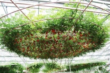 Planters Planters | 화분