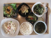 쑥부쟁이된장무침, 부드~러운 연두부버섯무침, 젓갈이 들어가지 않은 시원한 열무김치에 고소한 현미밥까지~ 맛있는 오늘의 밥상 꼭꼭... 