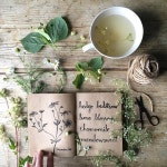spring에 관한 17개의 최상의 Pinterest 이미지 spring