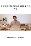 고양이의 궁디팡팡은 사실 궁디가 아님