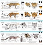 drawing tip&practice에 있는 about님의 핀