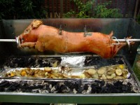 Spit Roasting A Pig — Spit Roasting | Spit roast pig, Pig roaster, Bbq pig