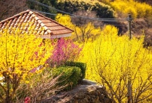 경기도 양평 추읍산 등산안내도 | The GreenMap