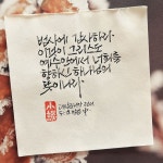 감사하라-소담캘리 - 2024 | 데살로니가전서, 손글씨, 붓글씨