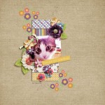 u r my sunshine u r my sunshine | Scrapbook inspirations, Scrapbook, Spring carnival