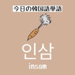 인삼（insam）＝人参【2021】 | キムチ, 野菜, 大根 きゅうり