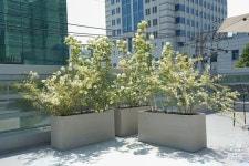 오피스 4층옥상 - 수무綏撫